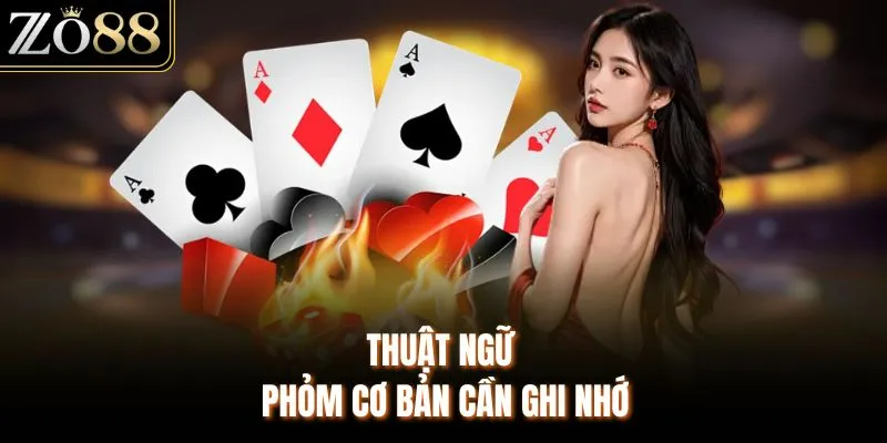 Luật Đánh Bài Phỏm Chi Tiết Cho Người Chơi Mới Bắt Đầu - Devix
