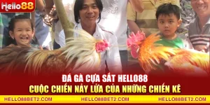 Đá gà Hello88 - Giải trí đỉnh cao với tỷ lệ thưởng hấp dẫn - Devix