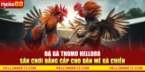 Đá gà Hello88 - Giải trí đỉnh cao với tỷ lệ thưởng hấp dẫn - Devix