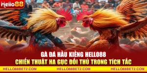 Đá gà Hello88 - Giải trí đỉnh cao với tỷ lệ thưởng hấp dẫn - Devix