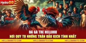 Đá gà Hello88 - Giải trí đỉnh cao với tỷ lệ thưởng hấp dẫn - Devix