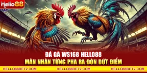 Đá gà Hello88 - Giải trí đỉnh cao với tỷ lệ thưởng hấp dẫn - Devix