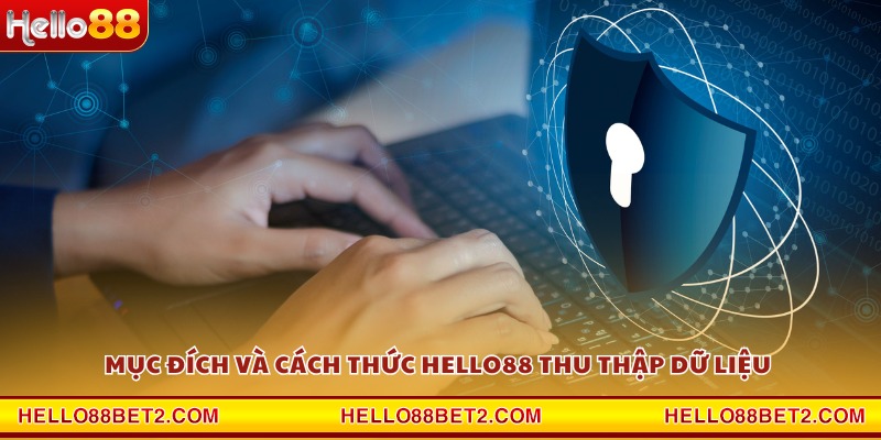 Chính sách bảo mật Hello88 - Tiêu chuẩn an toàn hàng đầu - Devix