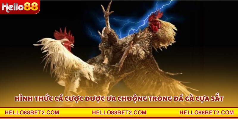 Đá gà cựa sắt Hello88 - Cuộc chiến nảy lửa của những chiến kê - Devix