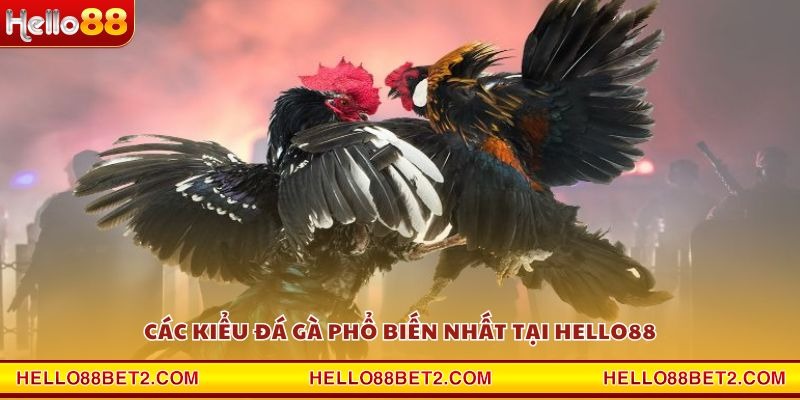 Đá gà Hello88 - Giải trí đỉnh cao với tỷ lệ thưởng hấp dẫn - Devix