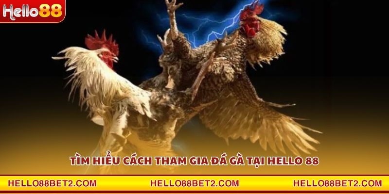 Đá gà Hello88 - Giải trí đỉnh cao với tỷ lệ thưởng hấp dẫn - Devix