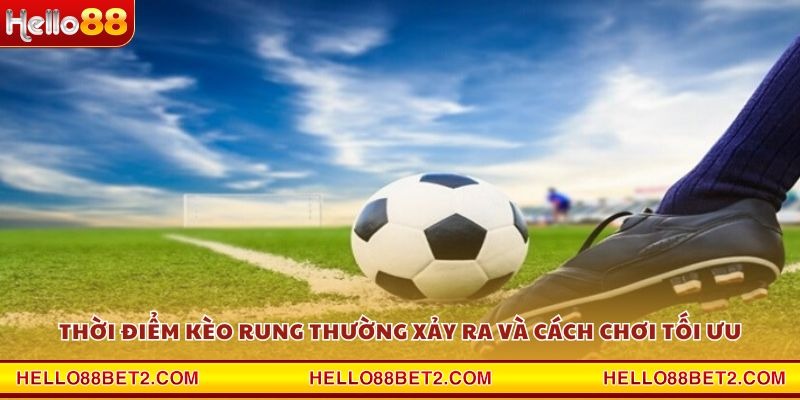 Kèo rung là gì? Tất tần tật kiến thức cược bóng nên biết - Devix