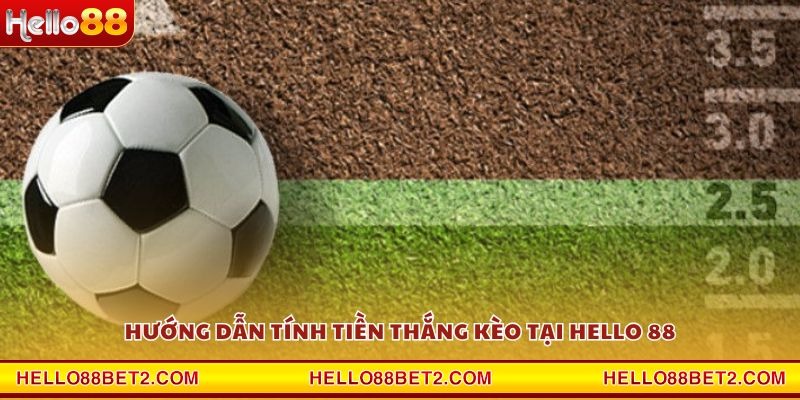 Kèo tài xỉu Hello88 - Trải nghiệm cá cược hấp dẫn nhất - Devix