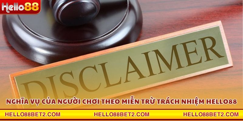 Miễn trừ trách nhiệm Hello88 – Quy định pháp lý cần nắm rõ - Devix
