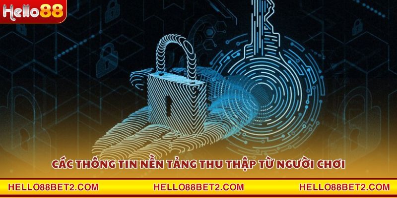 Quyền riêng tư Hello88 - Chính sách rõ ràng và minh bạch - Devix